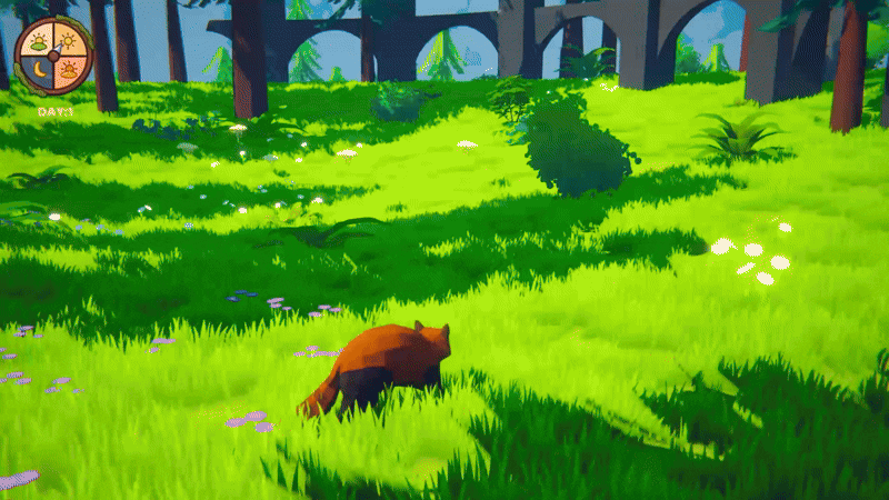 Explore the Islands